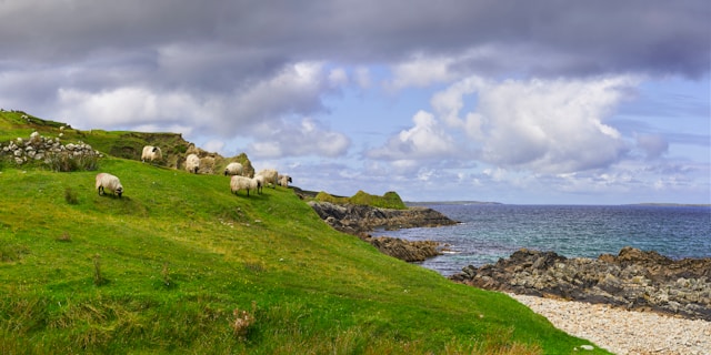 Eco-Friendly Travel in Ireland: How to Explore Responsibly